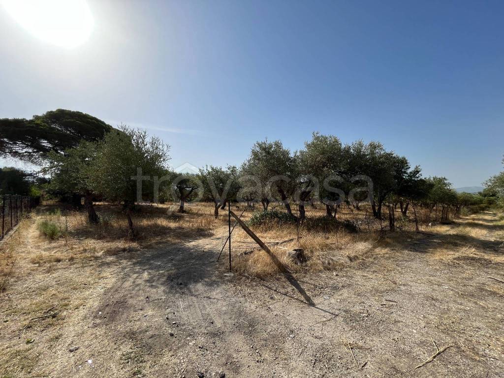 immagine annuncio 3 di 8