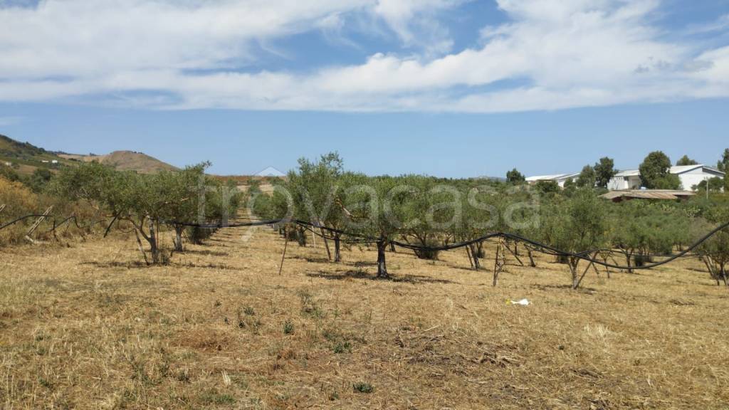 immagine annuncio 6 di 8