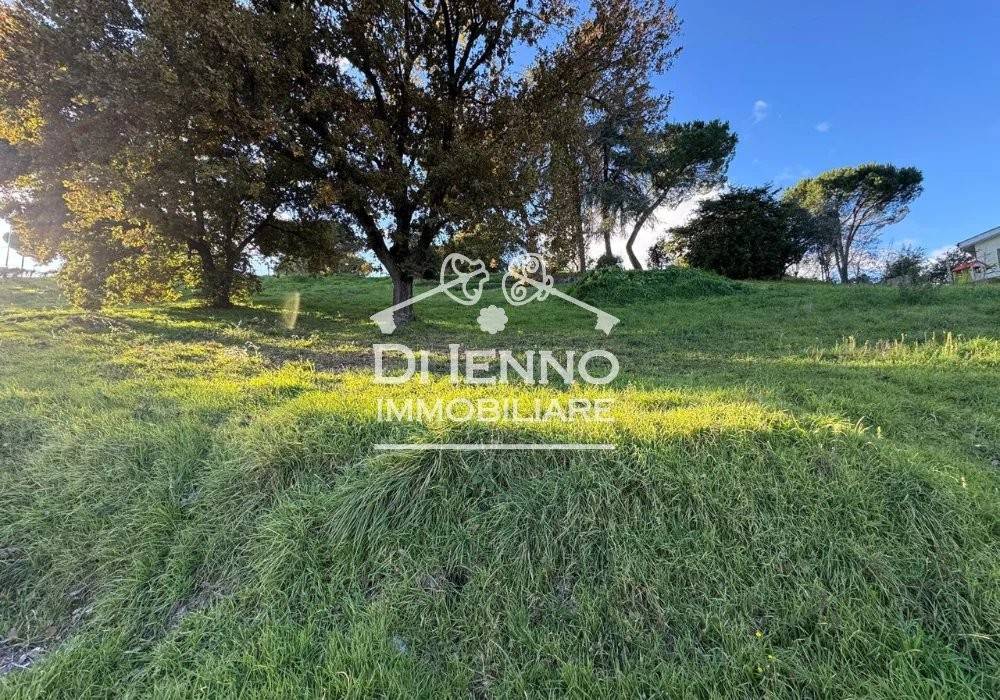 immagine annuncio 1 di 6