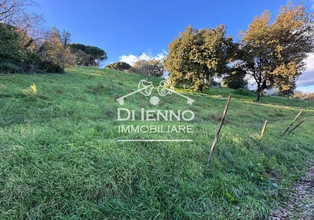 immagine annuncio 2 di 6