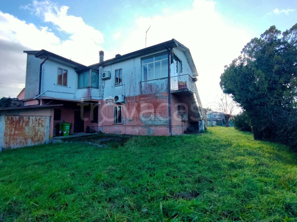 immagine annuncio 12 di 14