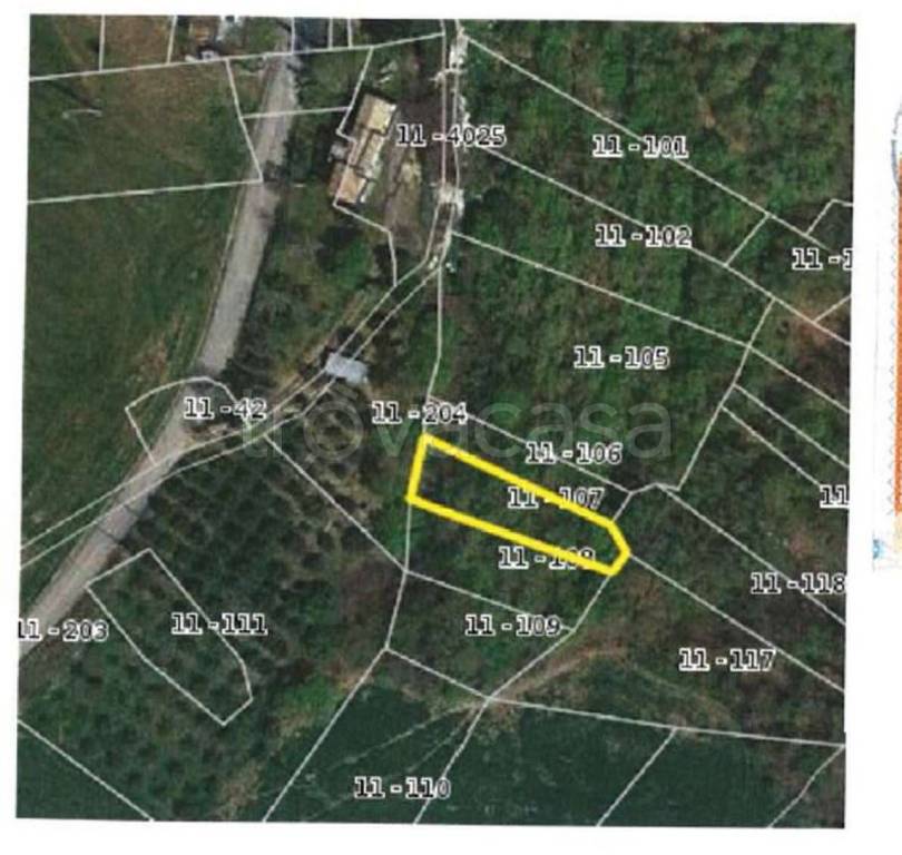 immagine annuncio 9 di 12