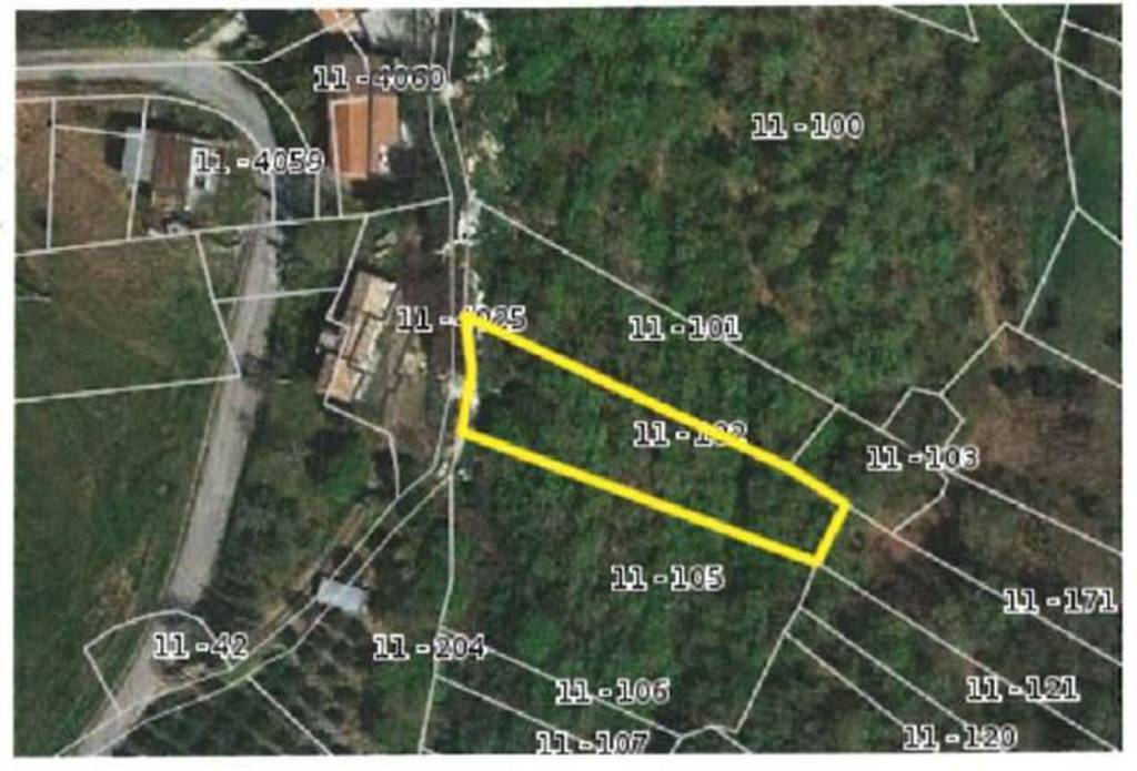 immagine annuncio 10 di 12