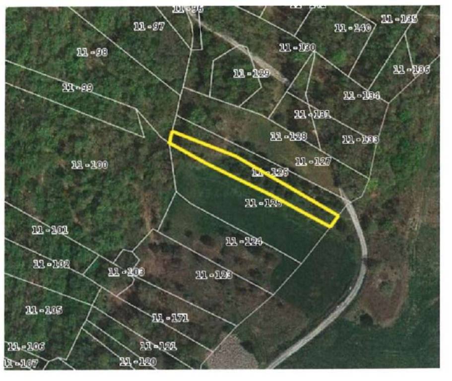 immagine annuncio 11 di 12