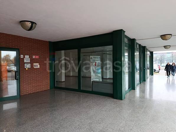 immagine annuncio 4 di 8