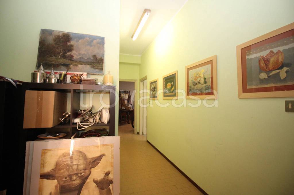 immagine annuncio 4 di 11