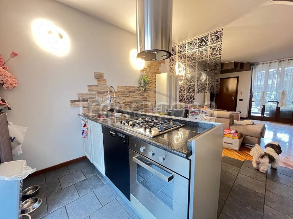 immagine annuncio 6 di 15