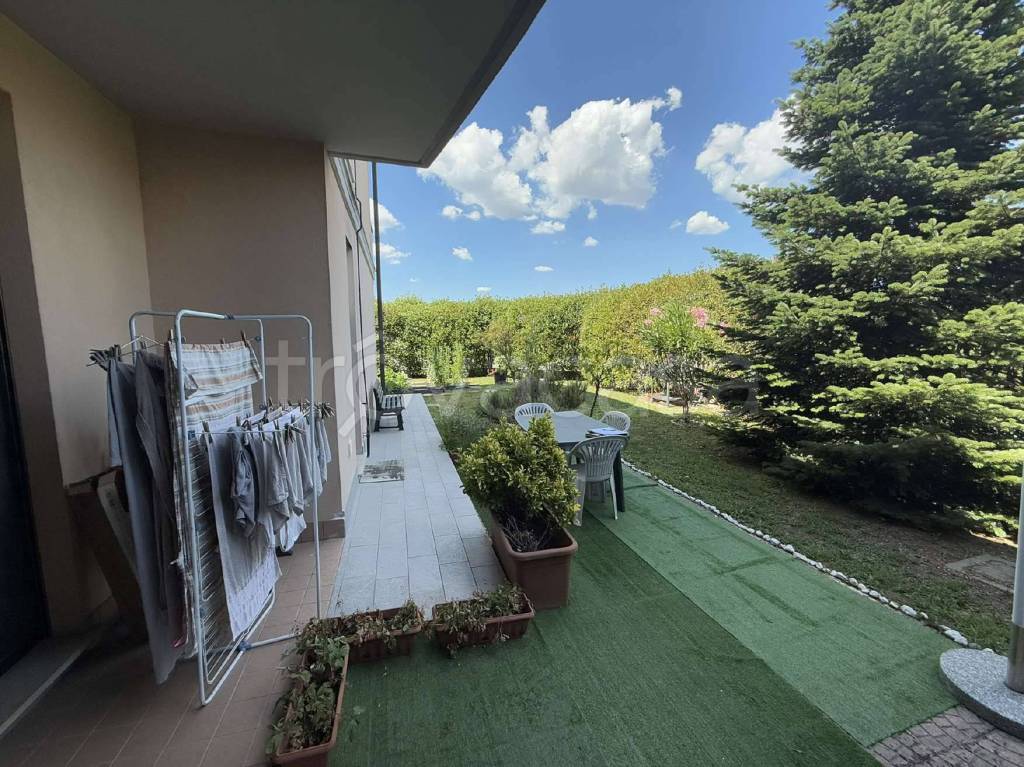 immagine annuncio 6 di 15