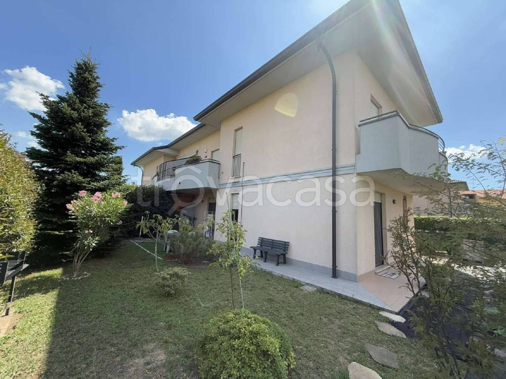 immagine annuncio 9 di 15