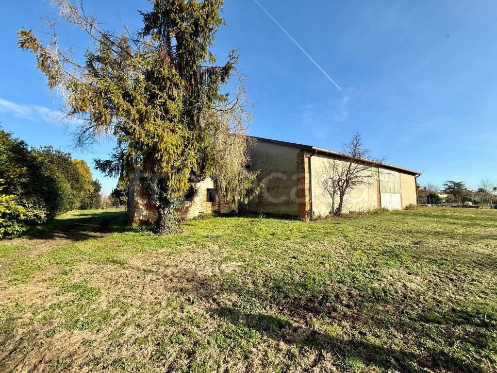 immagine annuncio 1 di 12