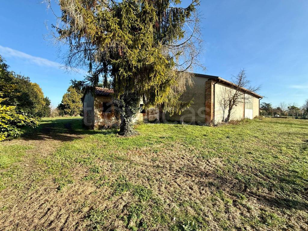 immagine annuncio 2 di 12