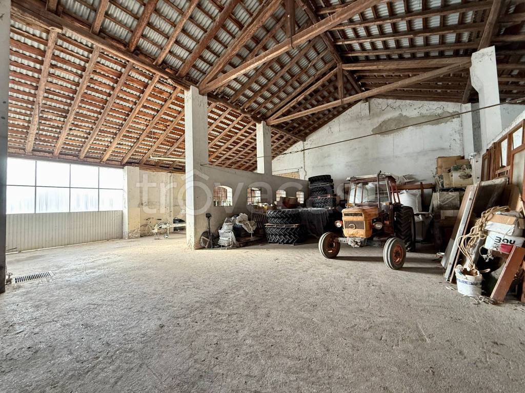 immagine annuncio 4 di 12