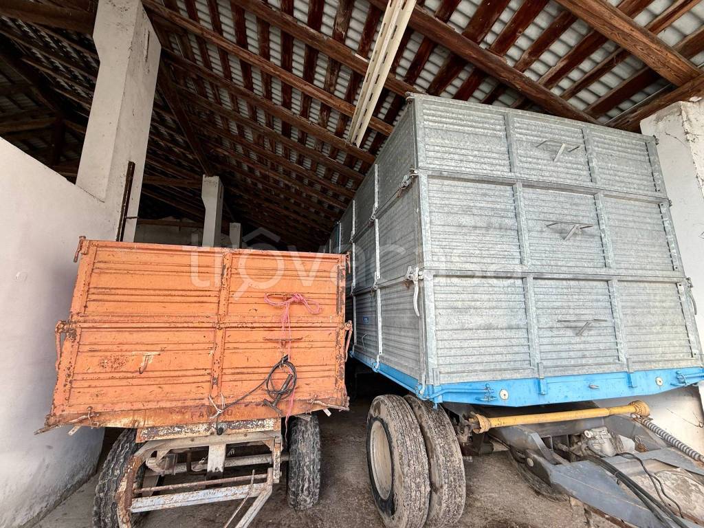 immagine annuncio 5 di 12