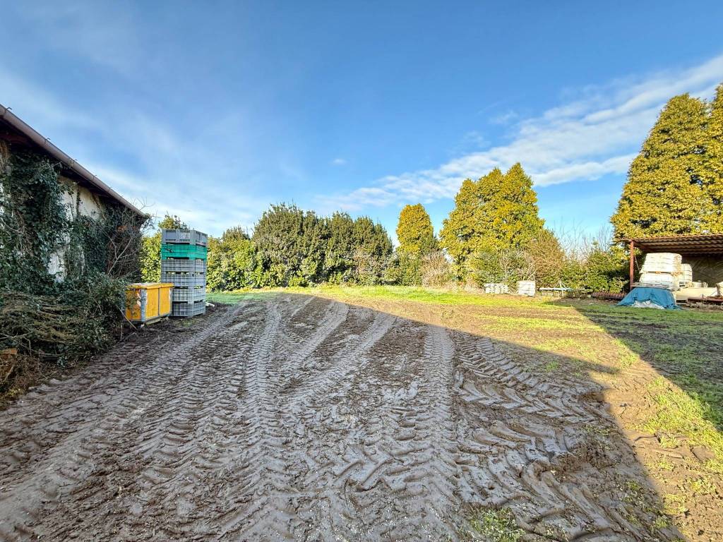 immagine annuncio 7 di 12