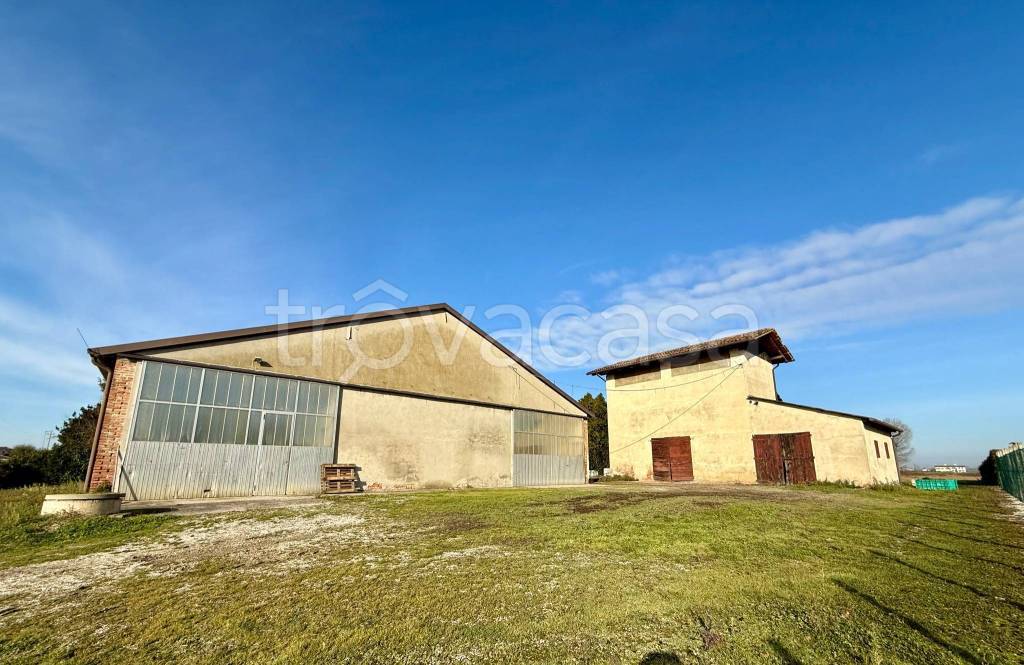 immagine annuncio 8 di 12