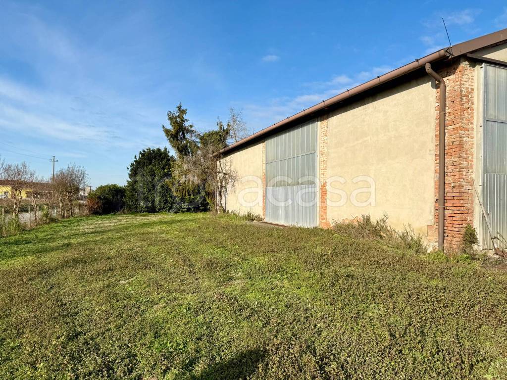 immagine annuncio 9 di 12