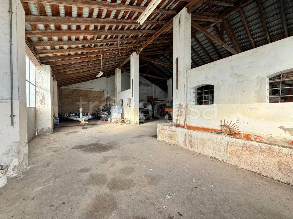 immagine annuncio 10 di 12