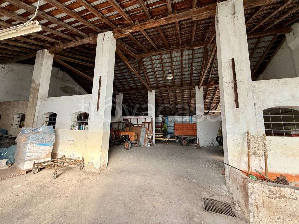 immagine annuncio 11 di 12