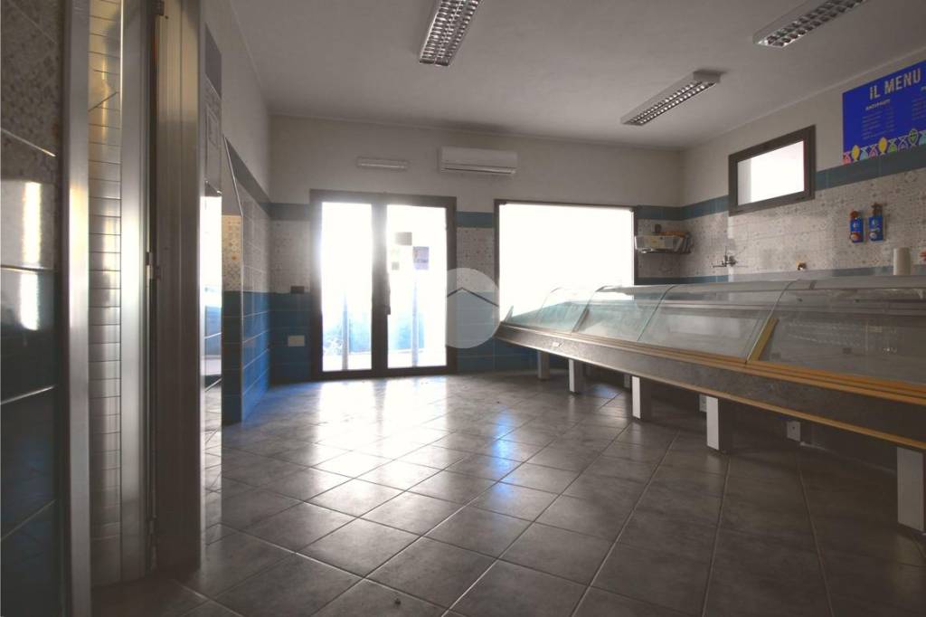 immagine annuncio 3 di 12