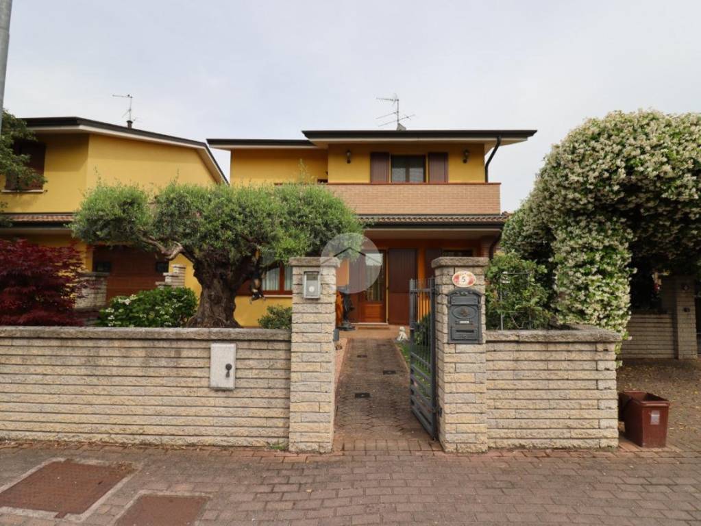 immagine annuncio 1 di 15