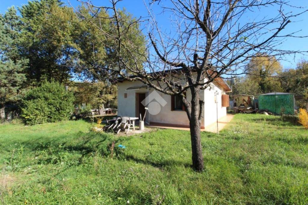 immagine annuncio 3 di 12