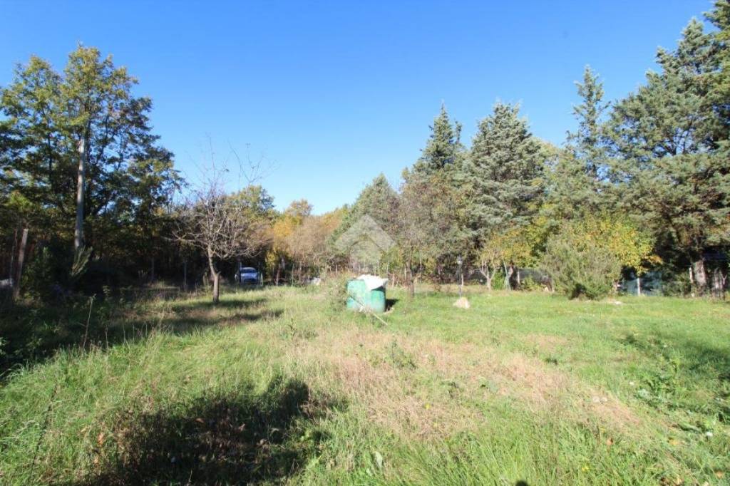 immagine annuncio 11 di 12