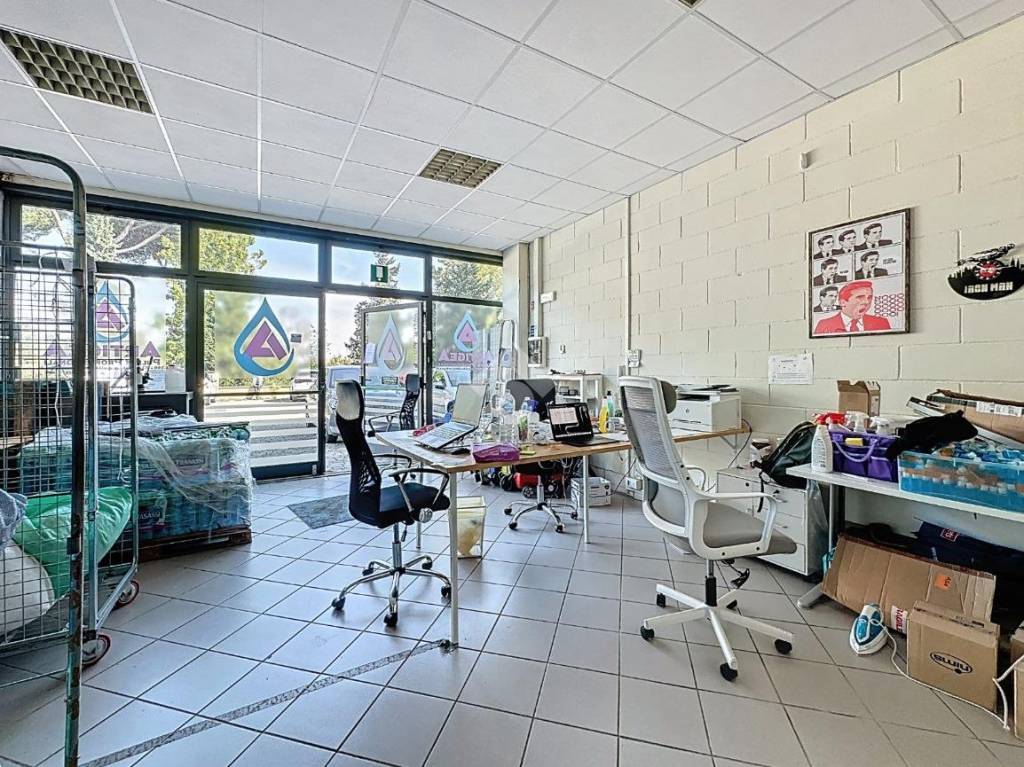 immagine annuncio 11 di 15