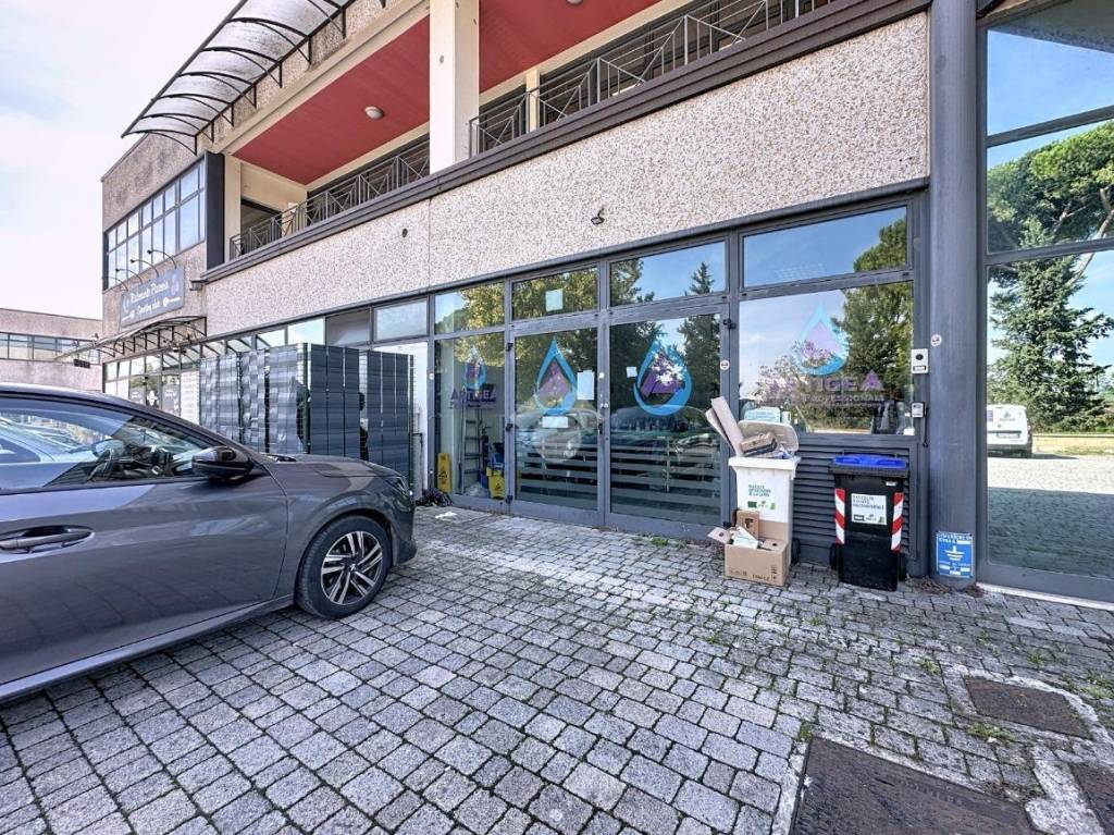 immagine annuncio 12 di 15