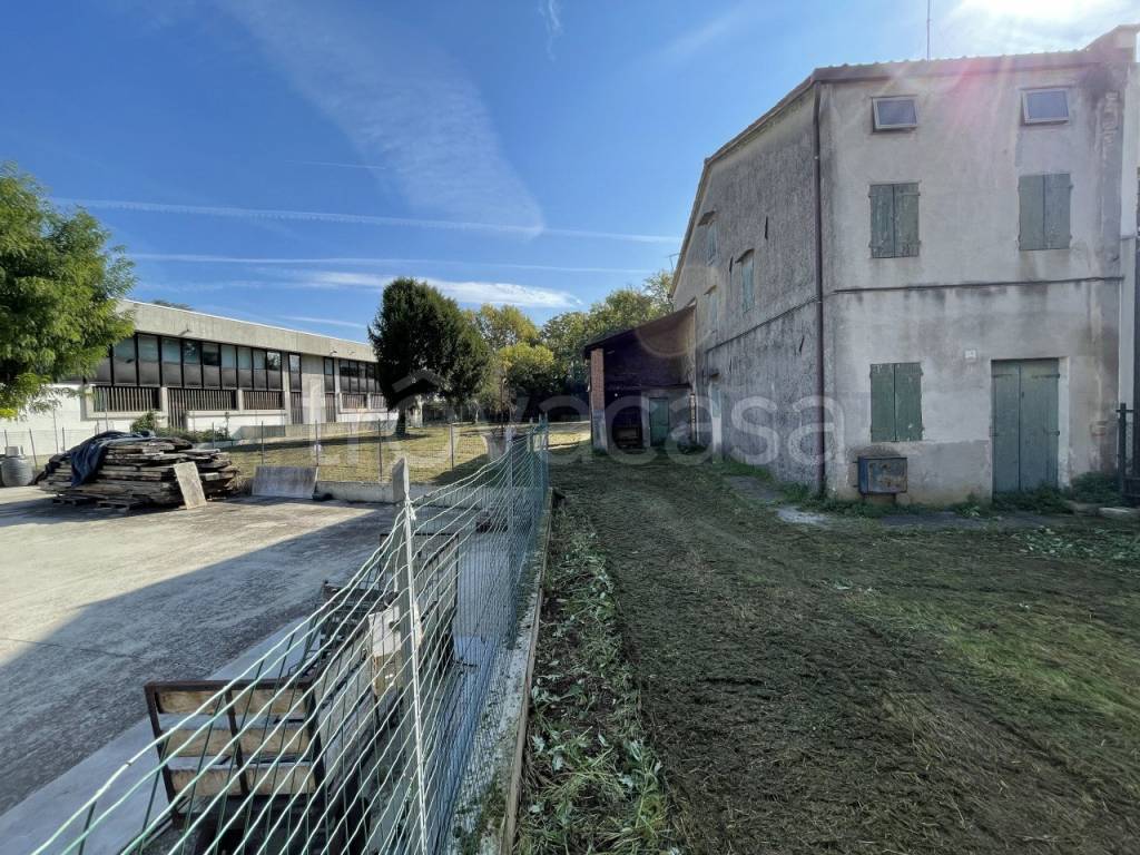 immagine annuncio 4 di 12