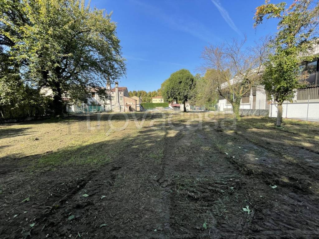 immagine annuncio 6 di 12