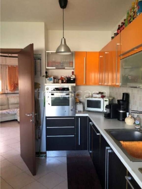 immagine annuncio 9 di 15