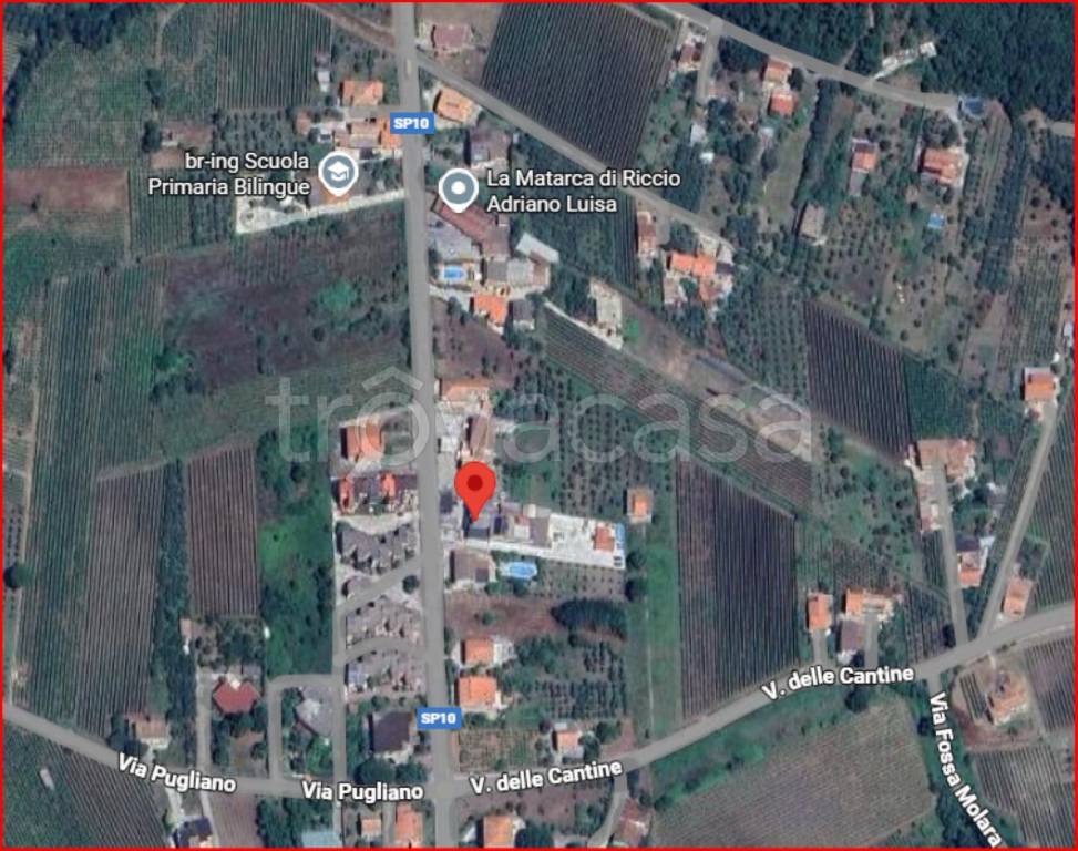 immagine annuncio 11 di 12