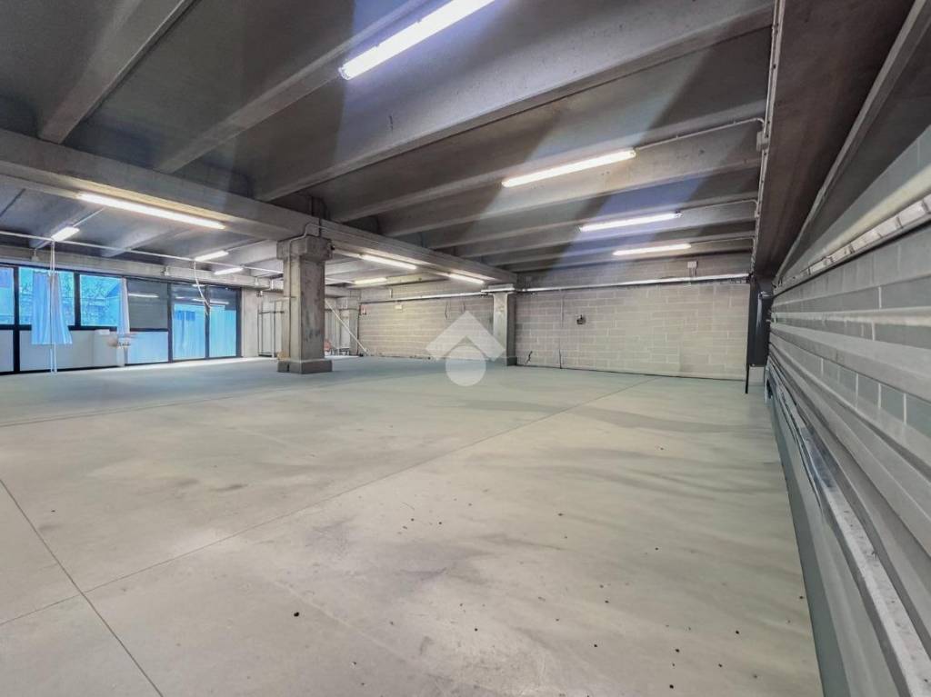 immagine annuncio 4 di 13