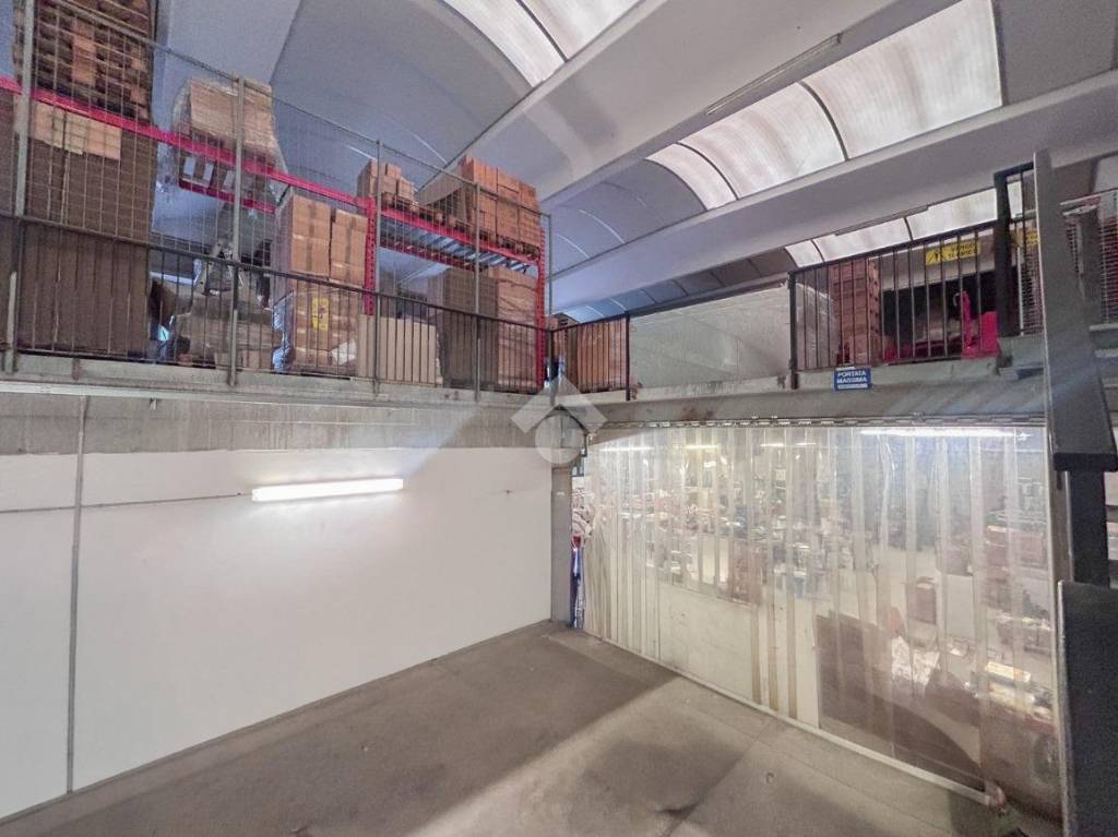 immagine annuncio 9 di 13