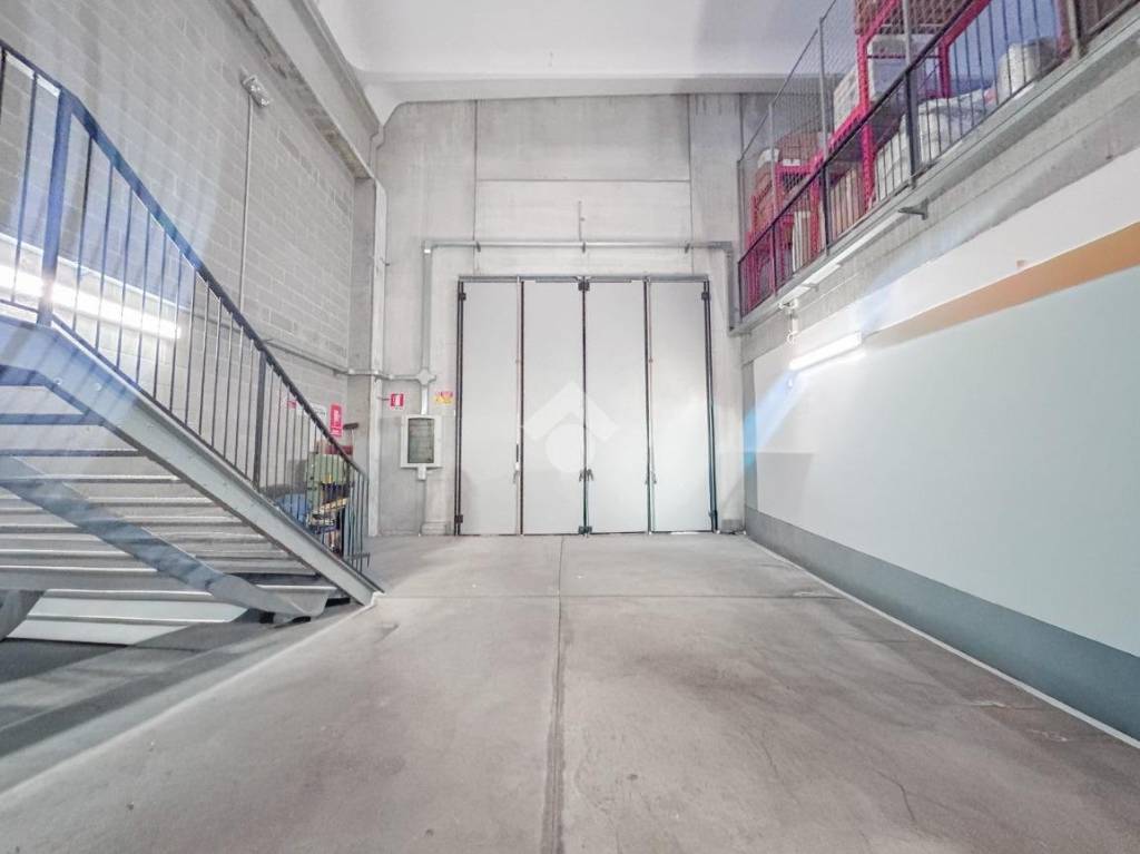 immagine annuncio 3 di 13