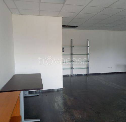 immagine annuncio 3 di 8