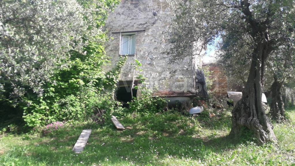 immagine annuncio 6 di 12