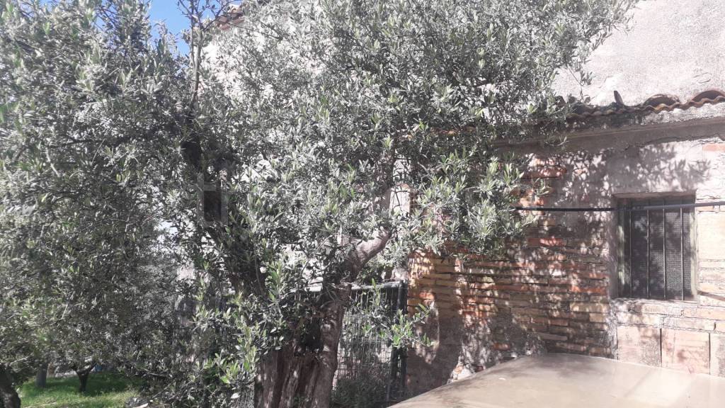 immagine annuncio 7 di 12