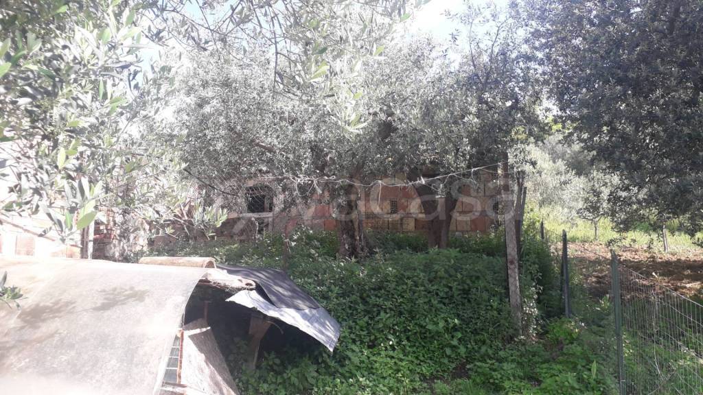 immagine annuncio 9 di 12