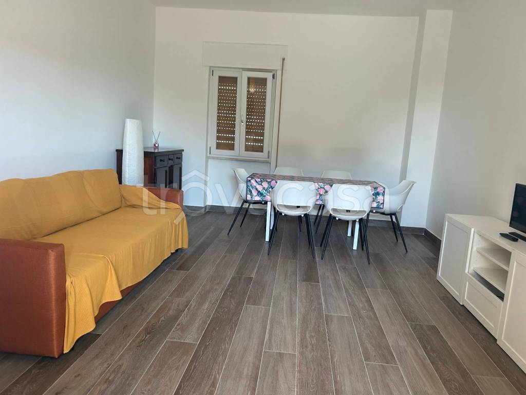 immagine annuncio 9 di 14