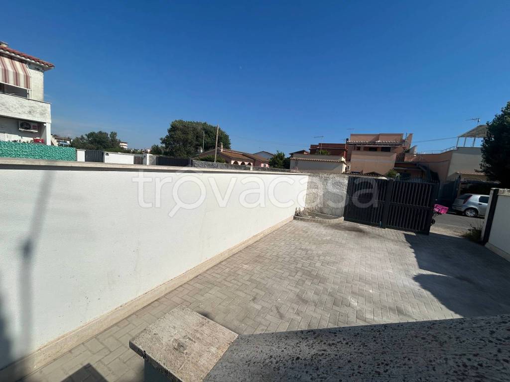 immagine annuncio 11 di 14