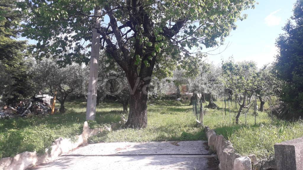 immagine annuncio 10 di 12