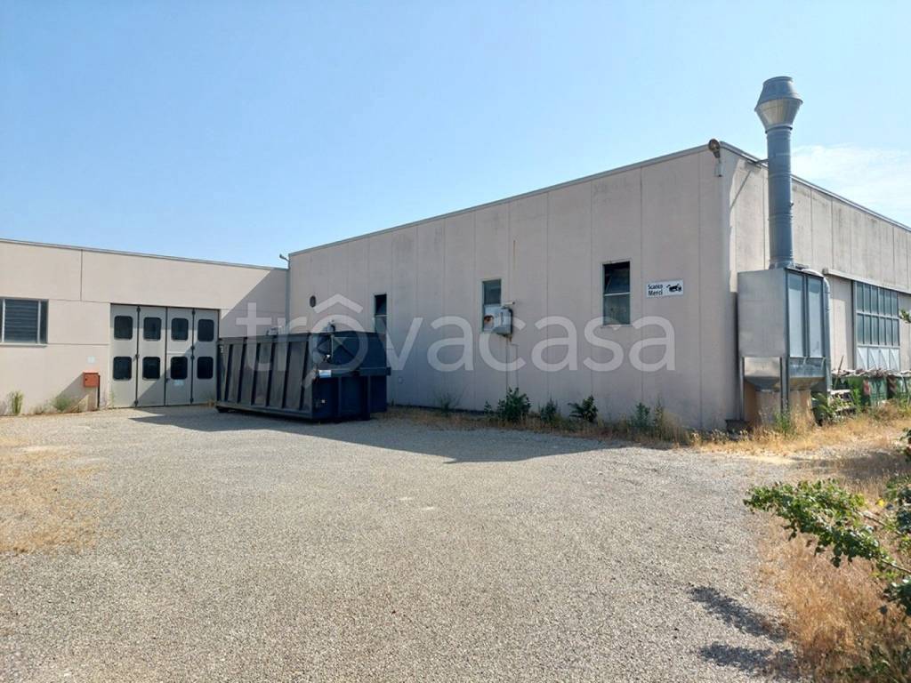 immagine annuncio 2 di 12