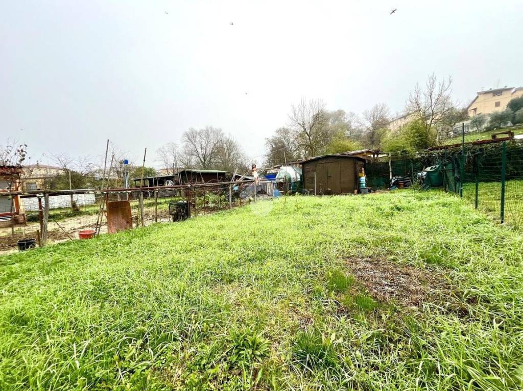 immagine annuncio 12 di 13