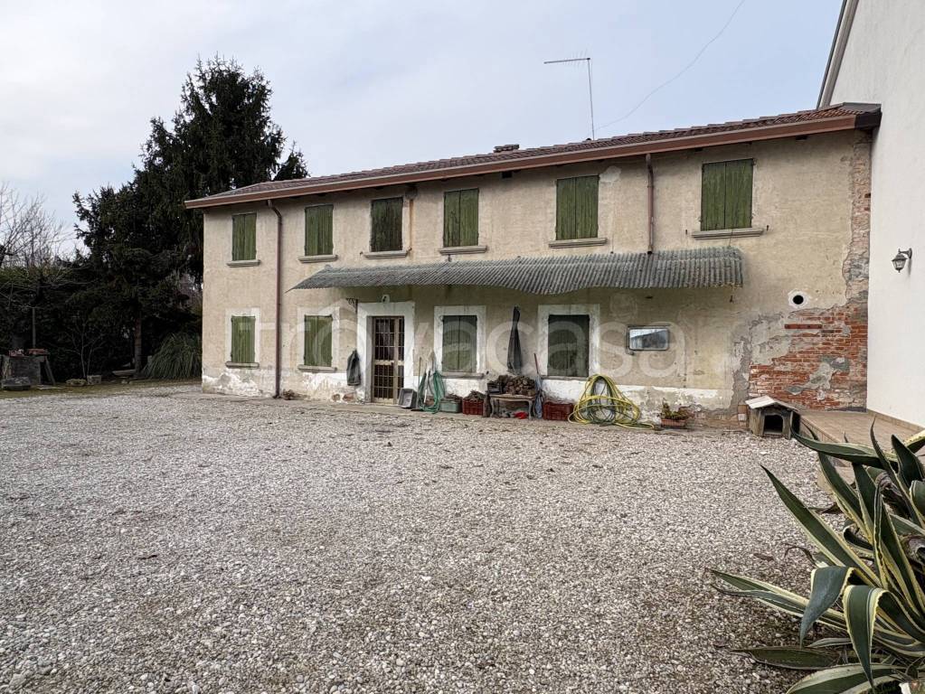 immagine annuncio 1 di 11