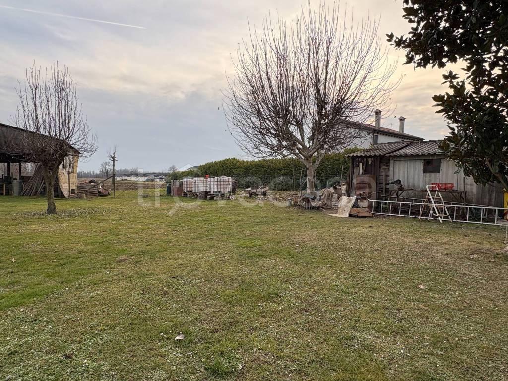 immagine annuncio 4 di 11