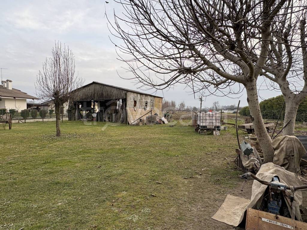 immagine annuncio 5 di 11