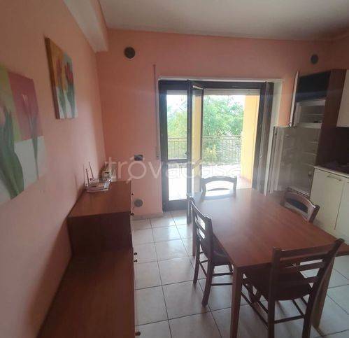 immagine annuncio 2 di 8