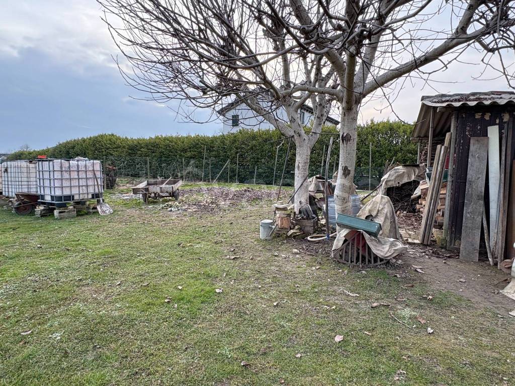 immagine annuncio 6 di 11