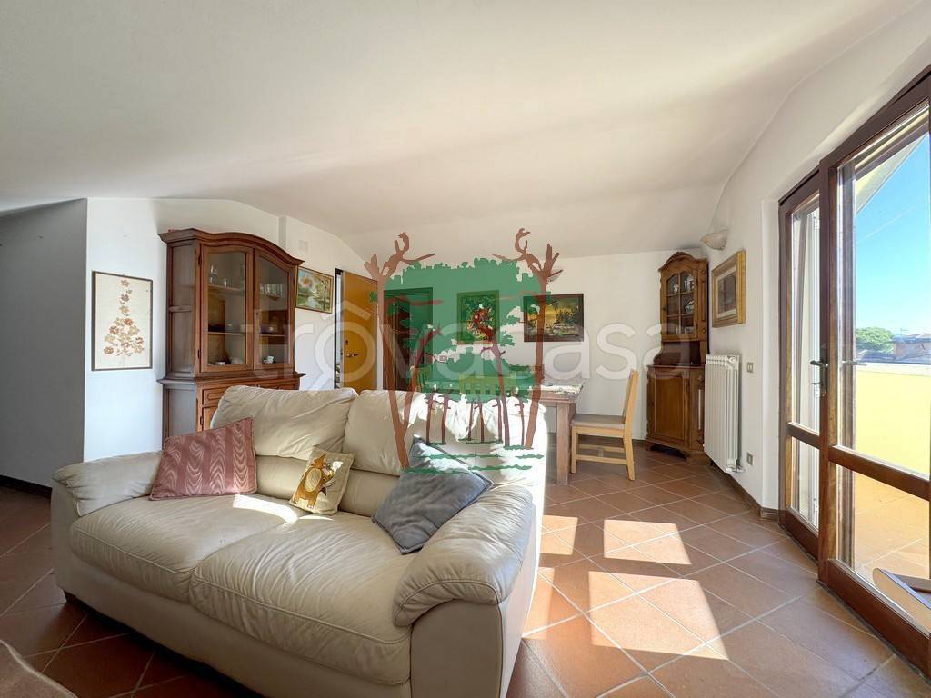 immagine annuncio 5 di 14